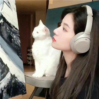 蓝色杰伊