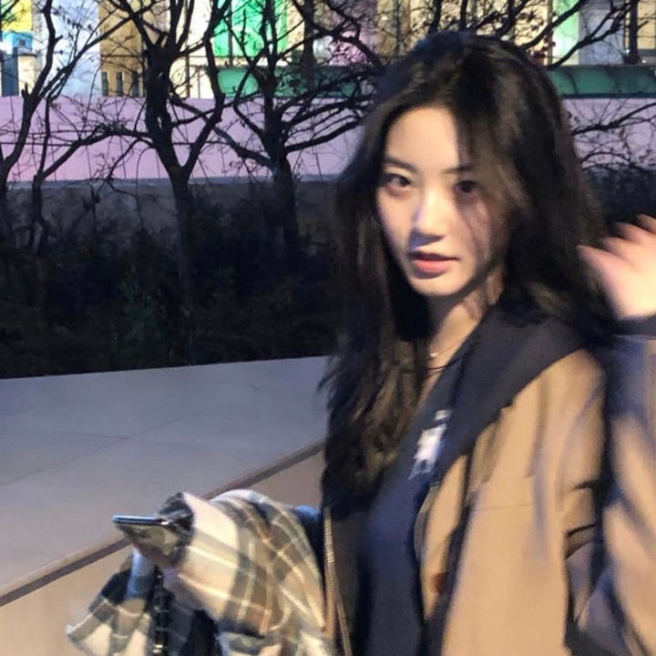 威尔科克斯生存记