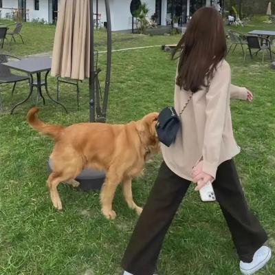 美景不可及